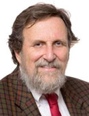 Pierluigi Zoccolotti