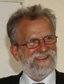 Francisco Javier Lobera Serrano