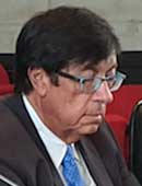 Domenico Chindemi