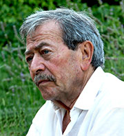 Pier Luigi Morelli