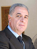Domenico Vulpiani