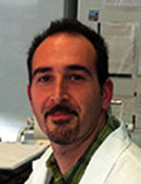 Matteo Lulli