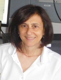 fotografia