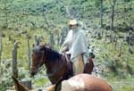 fotografia