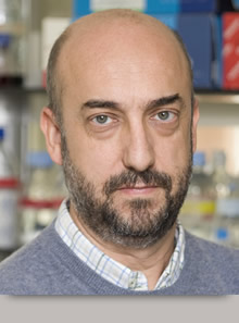 Pedro Luis Fernández Ruiz
