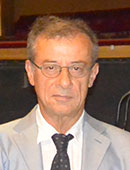 Michele Girardi