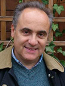 Andrea Cardarelli