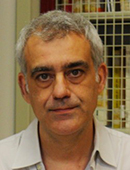 David Armando