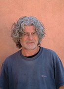 Domenico Patassini